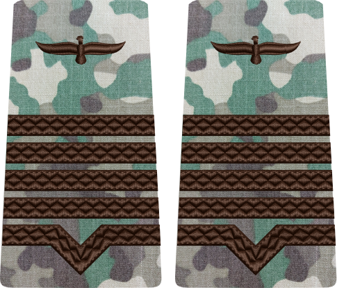 GRADE COMBAT TERESTRU MAISTRU MILITAR CLASA 1 Aviația Română (Forțele Aeriene )